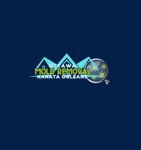 Ottawa Mold Removal-Orleans-Kanata